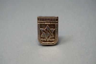 25th anniversary of the Warsaw ghetto uprising pin