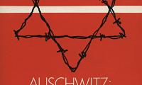 Auschwitz, beginning of a new era? : reflections on the Holocaust