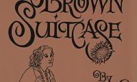 The old brown suitcase : a teenager's story of war and peace