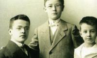 The Himmler Brothers : a German family history