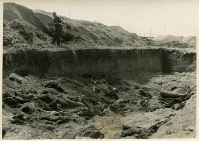 Belsen pit