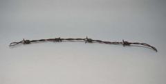 Barbed wire from Auschwitz 