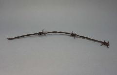 Barbed wire from Auschwitz