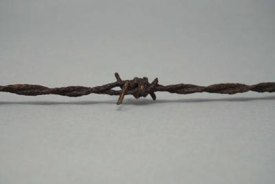 Barbed wire from Auschwitz