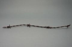 Barbed wire from Auschwitz 